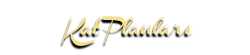 Barış Konakları 2 Kat Planları