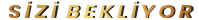 subtitle-image